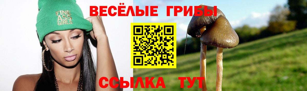 Галлюциногенные грибы MAGIC MUSHROOMS  Вход с VPN  Южно-Сахалинск 